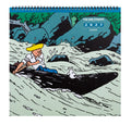Tim & Struppi Wandkalender 2027